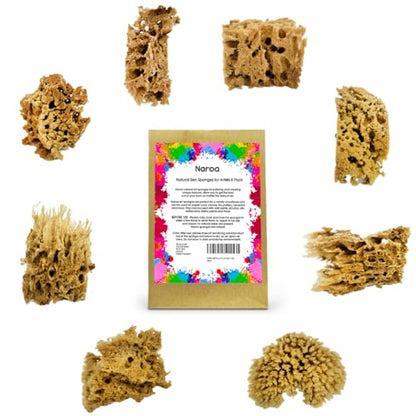 NAROA Artist Natural Sea Sponges for Painting 8 Pack | Unbleached Unique Art Tool Set | Suitable for Acrylic Watercolor, Marbling, Texturing, Pottery, Ceramics