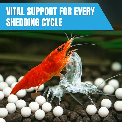 JOR Shrimp Calcium Bits, Slow-Release White Balls for Swimming Crustaceans, Snails & Small Fish, Supports Shell Development and Shedding, Aquarium Drop-in Supplementation, 3 oz per Pack