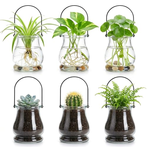 Tebery 12 Pack Wall Hanging Planter Propagation, Glass Pot Terrariums for Indoor Plants, Clear Air Plant Holder Vase for Home Office Decor