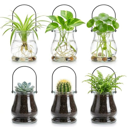 Tebery 12 Pack Wall Hanging Planter Propagation, Glass Pot Terrariums for Indoor Plants, Clear Air Plant Holder Vase for Home Office Decor