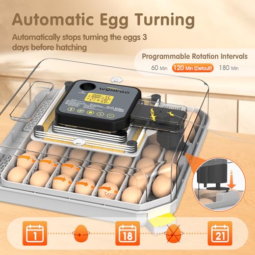 Egg Incubator 48 Eggs Automatic Egg Turning Chicken Incubators for Chicken, Ducks, Goose, Pigeon, Quail, Parrot Incubator for Farm - size: 48 eggs
