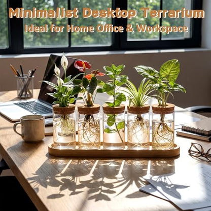 Zhehao 5 Pack Plant Propagation Station Hydroponic Glass Jar Terrarium with Cork Lids Bamboo Tray Desktop Planter for Rooting Cuttings Home Office Garden Decor