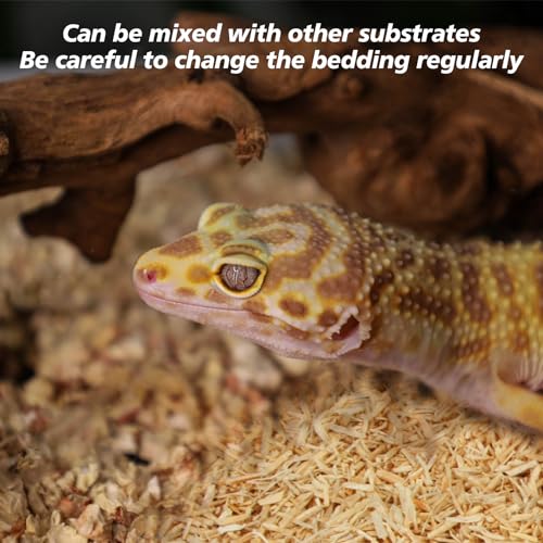 Sukh 14OZ Natural Aspen Shavings Reptile Bedding - Wood Shaving Pet Bedding | Soft Wood Shavings Terrarium & Tank Substrate Nest Material for Snake, Lizard, Tortoise, Small Animal, Rabbit, Chicken & Bird