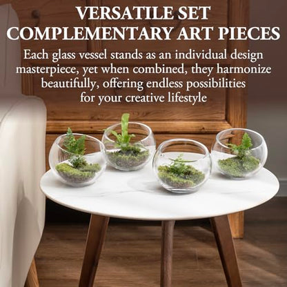 MyGift Premium Hotel Series 5 Inch Round Clear Glass Air Plant Terrariums, Mini Candy Bowl Jars, Tealight Candle Holders, Succulent Cactus Vases, Set of 4 - size: Set of 4 (Round)