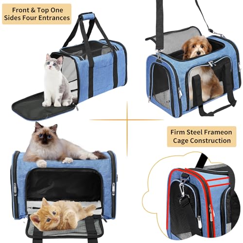 Soft-Sided Cat/Dog/Pet Carrier, Collapsible Pets Travel Carriers | For Big Cats/Small Dogs with Shoulder Strap & Removable Mat, Mesh Puppy Carry Bag, Up to 25 Lbs, TSA Airline Approved (Blue) - color: BLUE, size: 20"L x 13"W x 13"H