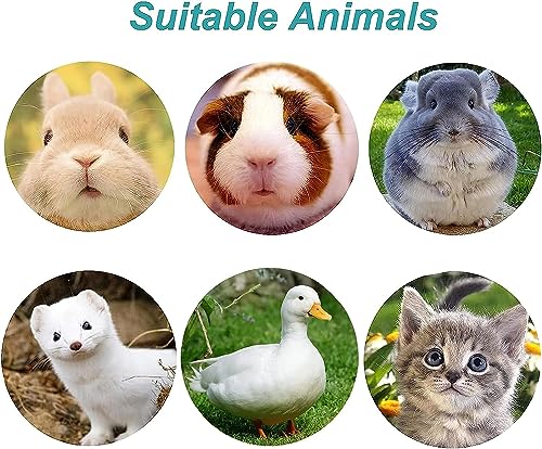 kathson 2Pcs Rabbit Water Bottle 17 OZ Bunny Hanging Water Fountain Automatic Guinea Pig Water Dispenser No Leak Drinking Feeder for Bunny Chinchilla Hamsters Cat Dog Small Animals(Blue)