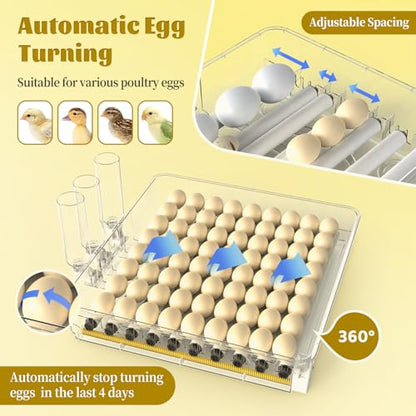 72 Egg Incubator for Hatching Eggs, Fully Automatic Egg Incubator with Auto Temp/Water/Turning, for Chicken Duck Goose Quail Pigeon Turtle Eggs, Humidity Control by Bottles, 360° View Clear Window