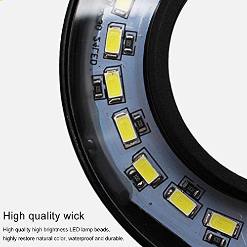 LED Aquarium Light for Under 1.5 Gallon Fish Tank 10W Full Spectrum | 360 Degree Small Aquarium Light LED Light with Bamboo Board Nano Fish Tank & Terrarium Light for Plant Growth USB Powered - size: 10w s / 6.69x7.28inch