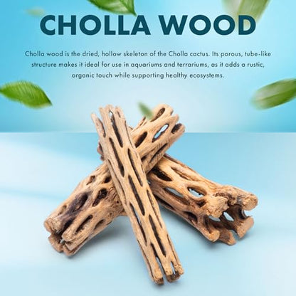 Natural Cholla Wood - Driftwood for Aquariums, Air Plant Base, Hermit Crab and Freshwater Shrimp Hideout, Fish Tank Decoration, Chinchilla Chews, Reptile Habitat Wood - 6 Inch, 5pc - size: 6 Inch, 5pc