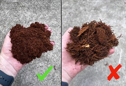 Premium New Zealand Tree Fern Fiber (Debris Free) Growing Medium and Reptile Substrate- Natural, Organic, Long Lasting | for Orchids and Tropicals | Use in Terrariums and Vivariums (1 Gallon)