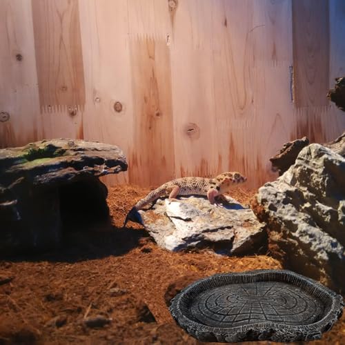 2 Pack Shallow Reptile Food Bowls, Reptile Feeding Terrarium Bowls for Bearded Dragon Lizard Frog Gecko Tortoise Hermit Crab Snail (Black) - color: Black - 2 Pack Shallow Bowls