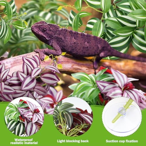 QUOZUO 2 Pack Reptile Plants, Artificial Hanging Plants with Suction Cups, Habitat Decor Plastic Vines Decorations for Bearded Dragons Lizards Snake Geckos Frogs -Purple and Green