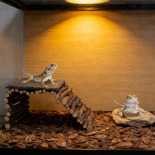 Bearded Dragon Tank Accessories - Natural Rock Basking Platform & Wooden Climbing Bridge Ladder Hideout, Habitat Décor for Tortoise, Snake, Gecko & Reptile Terrariums
