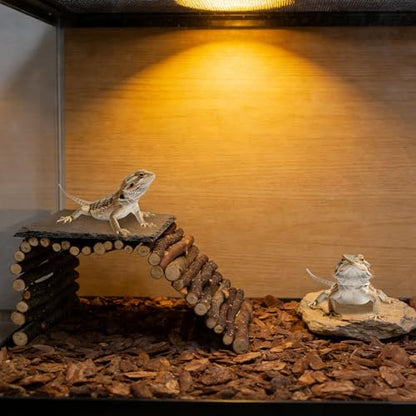 Bearded Dragon Tank Accessories - Natural Rock Basking Platform & Wooden Climbing Bridge Ladder Hideout, Habitat Décor for Tortoise, Snake, Gecko & Reptile Terrariums
