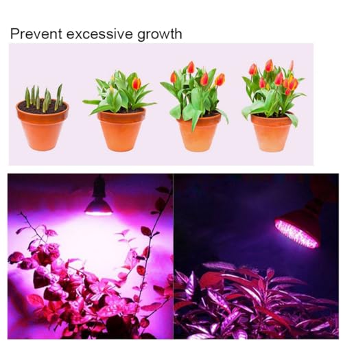 Grow Light Bulb, Full Spectrum 7W Grow Lamp (50 Watt Equiv),E26 Base Perfect for Seeding and Growing of Indoor Plants, Seed Starting,Flowers 4 Pack