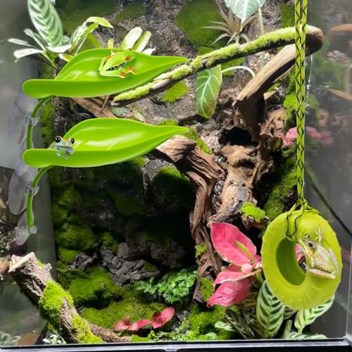Tree Frog Habitat Toy Plastic Leaf Decorations Tire Swing Habitat Miniature with Suction Cups Frog Habitat Platform Terrarium Decor Accessories for Crested Geckos, Leopard (Green)