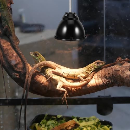 STOBAZA Reptile Heat Lamp Guard Anti-Scald Dome Light Cover Aluminum Heat Lamp Cover with Mesh Protector for Breeding Boxes and Indoor Greenhouses 5.59 X 5.59 X 4.13 in