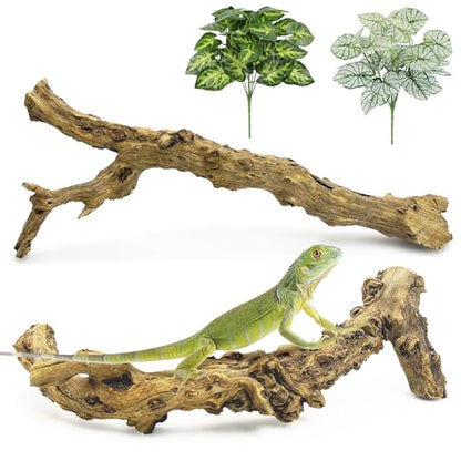 Reptile Branch Decor 2 Pcs Snake Climbing Wood Branches Lizard Habitat Decorations Terrarium Natural Forest Tree Trunk Ornament for Bearded Dragon Geckos Chameleon Frog