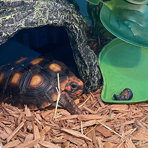 kathson Reptile Rock Hideout Cave,Tortoise Hide Caves,Resin Hides Shelter,Reptile Green Plant Decoration Habitat Decor Terrarium Accessories for Lizards Bearded Dragon Gecko Turtles Spiders - style: hideout