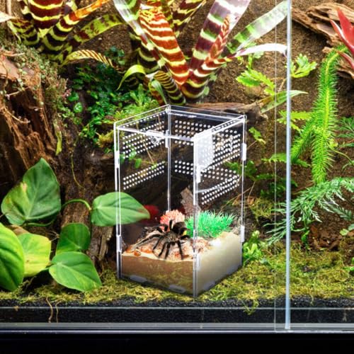 ORFOFE Easy to Assemble Acrylic Reptile Enclosure for Small Pets and Snakes with Modular Design and Ventilation Holes, Portable Reptile Breeding Box for Outdoor Use and Secure Transport