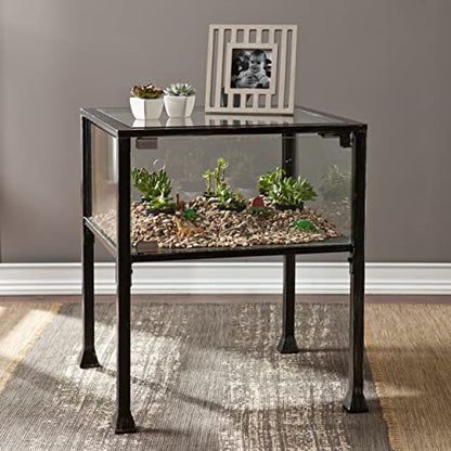 SEI Furniture - Terrarium Display End Table - Transitional Design, Black Finish - Ideal for Living Room, Bedroom (CK8862) - style: End Table
