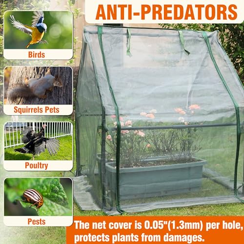 Gardzen Mini Greenhouse with Zipper Mesh Cover 36.2"(L) x36.2(W) x42.5(H) | Steel Frame Portable Outdoor Greenhouse, Enhanced Ventilation, Ideal for Spring, Summer & Fall - size: 36”(L) x36”(W) x42”(H)