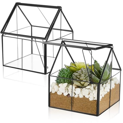 2 Pcs Mini Glass Terrarium Planter with Lid 5 x 4.3 x 4.3'' Small Greenhouse Terrarium Jar Glass Container Pot Tabletop Succulent Small Cacti Air Plant Planter for Indoor Home Garden Office Decor
