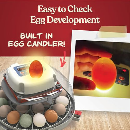 Harris Farms Nurture Right Egg Incubator with Auto Turner, Holds 22 Eggs