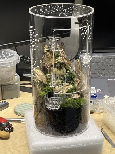 Front Opening Terrarium Jumping Spider Enclosure,Tall Arboreal Tarantula Enclosure Terrarium with Cross Ventilation,Waterproof Acrylic Reptile Enclosure - size: 12*6*6in