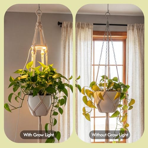 2 Pack Hanging Plant Grow Lights for Indoor Plants with Timer, Wall Mounted Full Spectrum Pendant Growing Light with Macrame Plant Hanger, Ceiling LED Planta Luz for Potted Plants Home Decor - size: 2 Pack