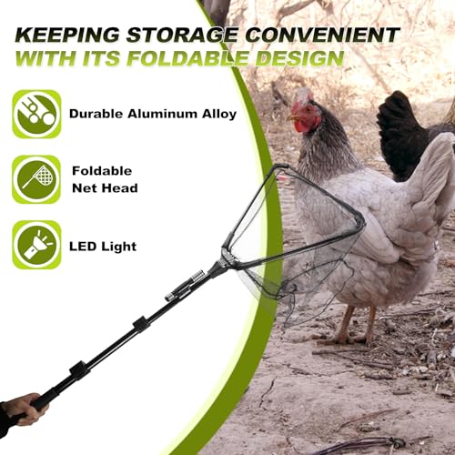 Chicken Catch Net, Animal Catching Capture Net Farm Trapping Pole | for Bird Cat Chicken Bat Duck Goose Raccoon Trap - Withstand 15lb
