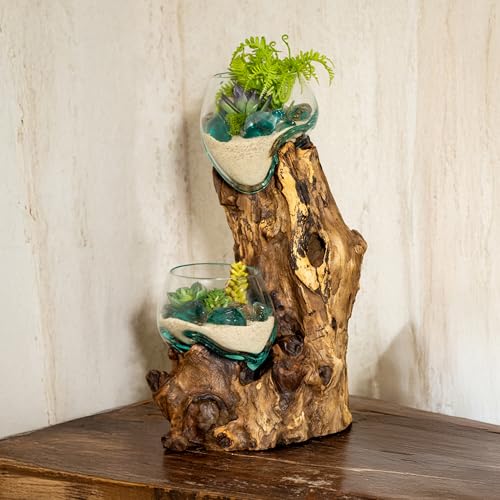 Cape Craftsmen 12" Hand-Blown Blue Tinted Bubble Glass On Natural Teak Driftwood Terrarium Kit | Home Décor Indoor Planter with Stand | Pot for Succulent and Plants - size: Large (With Stand)