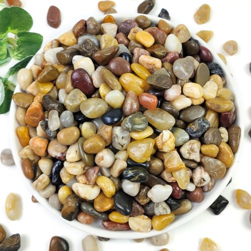 10LB Succulent and Cactus Gravel Pebbles, 3/8 Inch Natural Stones | Decorative Polished River Rocks for Plants, Vases, Aquariums, Terrarium and Outdoor Gardening - color: Natural, size: 10 Pounds