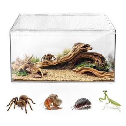 AZV Escape Proof Tarantula Enclosure,Polycarbonate Hermit Crabs Tank Large | Reptile Cage with Magnetic Lid,Ventilated Spider Terrarium,360° Clear View,Easy Clean Isopod Habitat for Gecko,Frogs,Insects - size: Large(11.81*7.87*5.90inch)