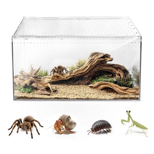 AZV Escape Proof Tarantula Enclosure,Polycarbonate Hermit Crabs Tank XLarge | Reptile Cage with Magnetic Lid,Ventilated Spider Terrarium,360° Clear View,Easy Clean Isopod Habitat for Gecko,Frogs,Insects - size: XLarge(15.74*9.84*7.87inch)