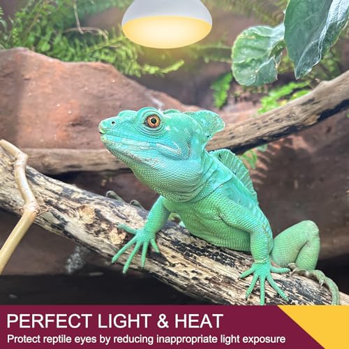 150W Reptile Heat Lamp Bulb 2 Pack,Basking Spot Lamp Bulb for Reptiles & Amphibians，Reptile Daylight Heat Bulb for Bearded Dragon, Lizard, Turtle - size: 150*2