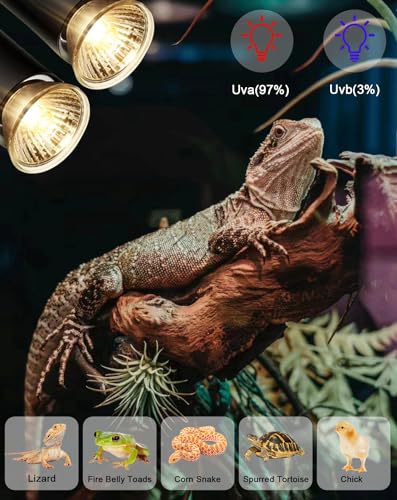 Turtle Reptile Heat Lamp Bulb 50W 120V,4Pcs Heat Bulb | UVA Reptile Light for Turtle Tank,Fits Reptiles and Amphibian Tanks, Terrariums and Cages, Works with Various Lamp Fixtures