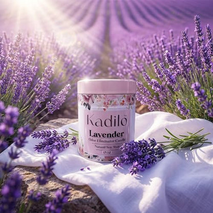 Kadilo™ Odor Eliminator Candle, 17 Oz Each Jar Natural Soy Wax, 3 Cotton Wicks, Highly Fragranced, 300 Hours Burn Time, Metal Jar, Set of 3 Different Flavors