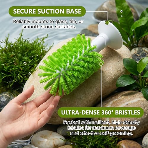 Turtle Cleaning & Feeding Kit: 2 Pcs Shell Scrubber Brush with Suction Cup and Interactive Feeder Ball for Aquatic Turtles and Tortoises