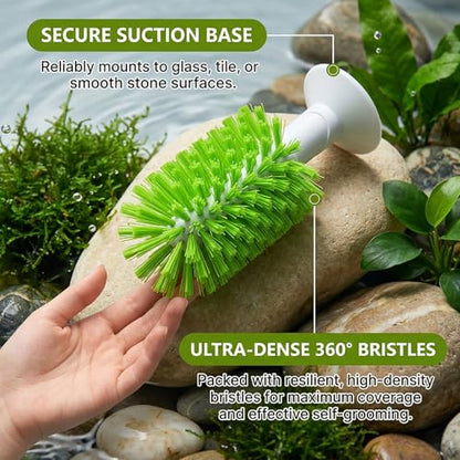 Turtle Cleaning & Feeding Kit: 2 Pcs Shell Scrubber Brush with Suction Cup and Interactive Feeder Ball for Aquatic Turtles and Tortoises