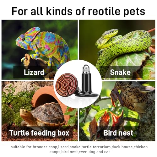 Ceramic Heat Emitter, 200W Reptile Heat Bulb 2-Pack, No Light Infrared Heating Lamp for Bearded Dragon, Snake, Lizard, Tortoise, Chicken Coop & Amphibian (E26 Base, Black)