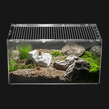 Reptile PC Tank,Escape Proof Magnetic Lid Tarantula Enclosure Large | Easy Clean Seamless Base Hermit Crab Habitat,Stackable Isopod Terrarium,Cross Ventilation Spider Starter Cage,Frog Container - size: L(11.8x7.8x5.9 IN)