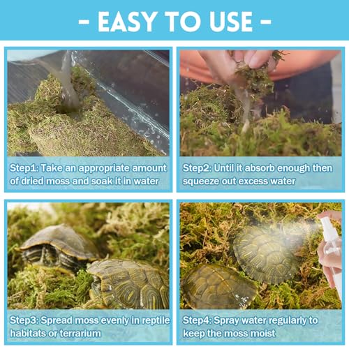 Riare 7 OZ Natural Sphagnum Moss for Reptiles, Terrarium Substrate Bedding | 6QT High Expansion, Moisture Retention, Helps Shedding, Long Fibered Dried Moss for Leopard Gecko, Snake, Frog, Turtle - color: 7 OZ
