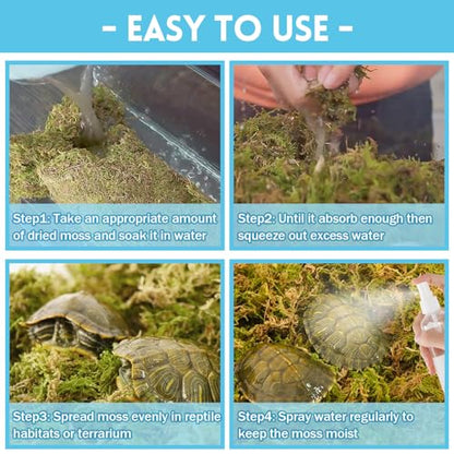 Riare 7 OZ Natural Sphagnum Moss for Reptiles, Terrarium Substrate Bedding | 6QT High Expansion, Moisture Retention, Helps Shedding, Long Fibered Dried Moss for Leopard Gecko, Snake, Frog, Turtle - color: 7 OZ
