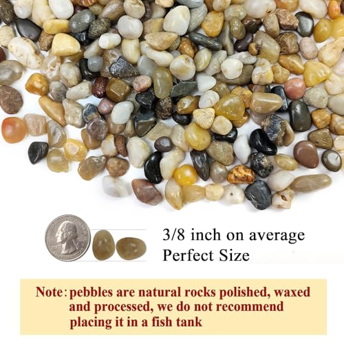 FANTIAN Pea Gravel for Fish Tank,5 lbs Polished Pebble for Plants, 1/4 Inch | Fish Tank Gravel,Decorative Stones River Rocks for Succulent Soil Cover, Cactus, Aquarium, Vase, Outdoor Garden Landscaping - size: 5 pounds, style: Natural