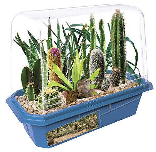 Toys By Nature Miniature Worlds Desert Oasis Succulent Terrarium Starter Kit - Complete Supplies for Fast Growth Rate! Fun & Easy Setup for Indoor Miniature Garden (Desert Plant Collection) - style: Desert Plant Collection