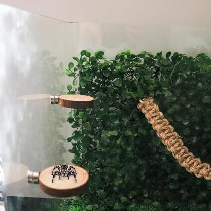 Jumping Spider Accessories, 4 Pack Wooden Ledges with Magnets, Natural Pine Spiders Ledges, Jumping Spider Enclosure Accessories, Magnetic Reptile Ledge - color: Natural Wood