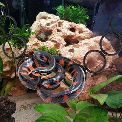 Snake Climbing Rings for Ball Python, 8-Rings Corn Snake Climbing Chain Toys Reptile Enrichment Toys Habitat Perch Tank Enclosure Cage Terrarium Accessories Decor for All Kinds of Small Reptiles