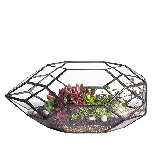 NCYP 6.5 x 5.9 x 11 Inches Geometric Glass Terrarium for Succulent, Air Plants - Large Irregular Clear Planter Pot, Indoor Tabletop Centerpiece, Wedding Garden Decor, Black (No Plants)
