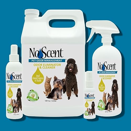 No Scent Anal Gland Express & Skunk Spray Pet Fur Cleaner for Dogs & Cats (8 Fl Oz / 237 mL) - size: 8 Fl Oz (Pack of 1)